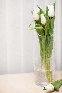 Close-up of drink on table