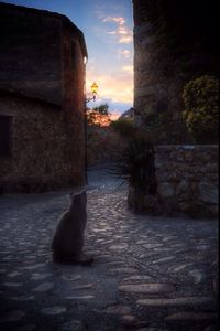 View of built structure