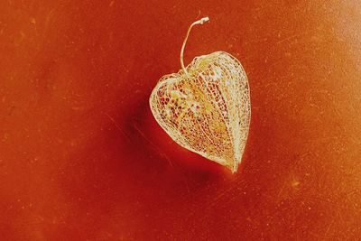 Close-up of heart shape on table