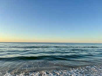 sea