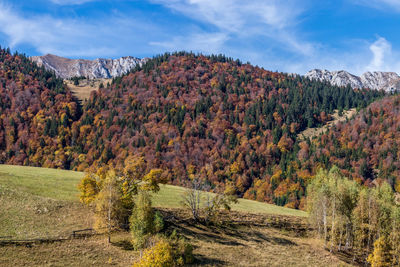 Scenic view of landscape against sky during autumn