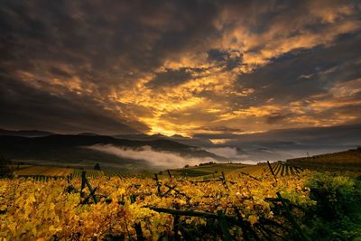 Scenic view of field against dramatic sky