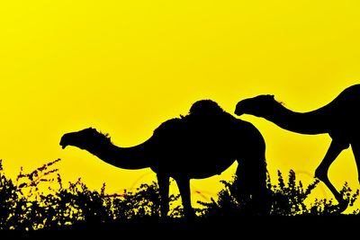 Silhouette of person against yellow sky during sunset