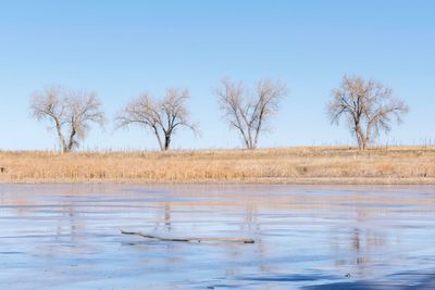 Scenic view of lake against clear blue sky