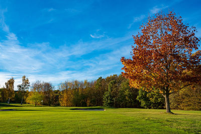 Trees on field against sky during autumn