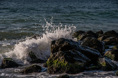 Scenic view of sea