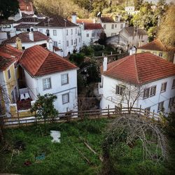 High angle view of houses and trees on field