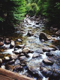 River flowing through rocks