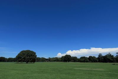 Scenic view of landscape against blue sky