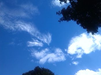 Low angle view of tree against blue sky