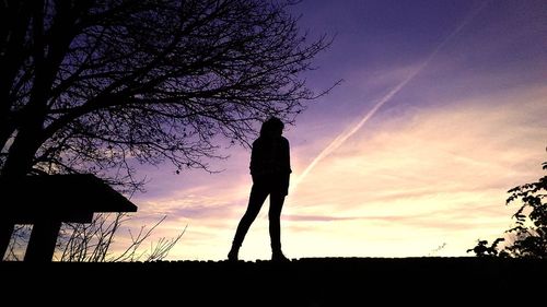 Silhouette of people standing on landscape at sunset