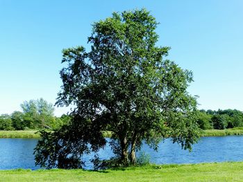 Scenic view of calm lake against blue sky