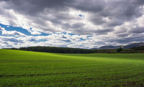 Scenic view of field against cloudy sky