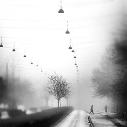 Road passing through forest