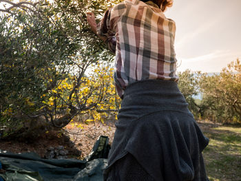 Midsection of woman picking olives from tree at farm