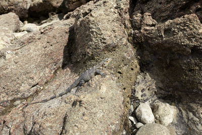 Full frame shot of rock