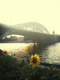 Footbridge over river