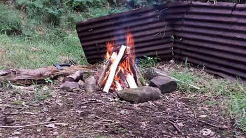 Firewood in field