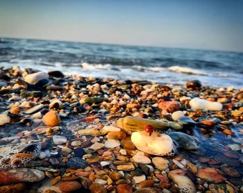 Pebbles on beach