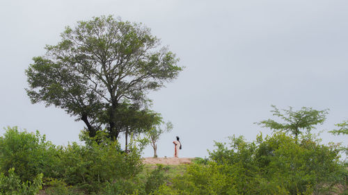Low angle view of statue against trees and sky