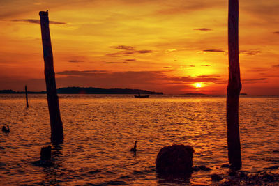 Scenic view of sunset over sea