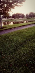 Scenic view of field in park against sky