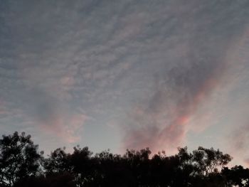 Low angle view of silhouette trees against sky during sunset