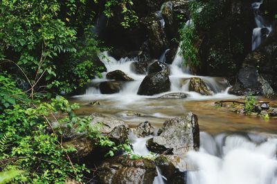 Waterfall at forest