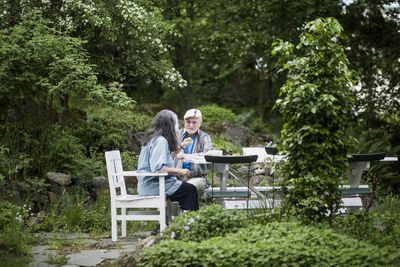 Senior couple having lunch at table in back yard