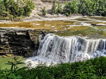 Scenic view of waterfall in forest