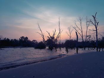 Silhouette bare trees on land against sky during sunset