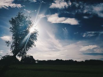 Low angle view of silhouette trees on field against sky