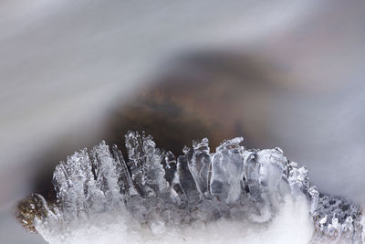 Close-up of snow on rock
