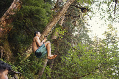 Low angle view of man swinging on rope in forest