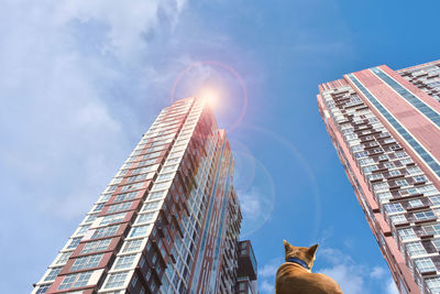 Low angle view of buildings against sky