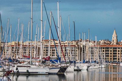 Sailboats in marina