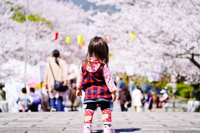 Rear view of woman with cherry blossom