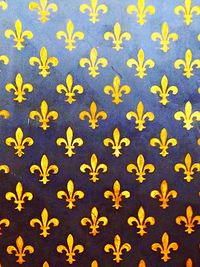 Close-up of sunflower