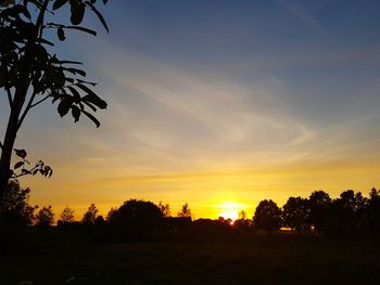 Silhouette trees on landscape against sky at sunset