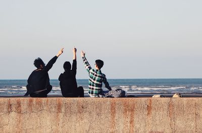 Rear view of friends with arms raised gesturing while sitting by sea against sky