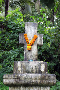 Close-up of cross on tree