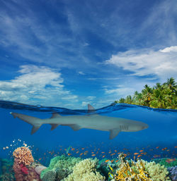 Scenic view of sea against sky