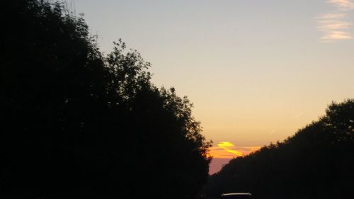 Silhouette trees against sky during sunset