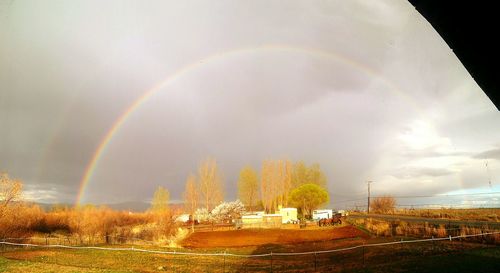 Rainbow over field