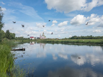 Birds flying over lake against sky