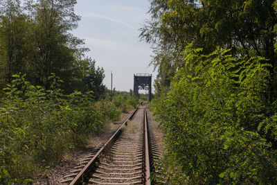 Railroad tracks by trees against sky