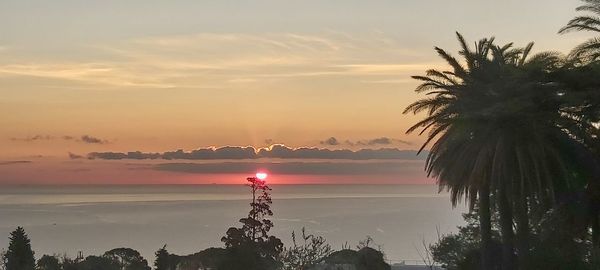 Silhouette palm trees by sea against sky during sunset