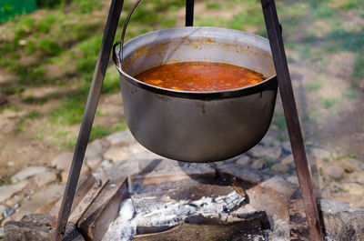 Close-up of food cooking over campfire