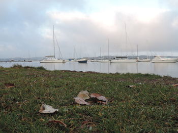 Sailboats moored on sea against sky
