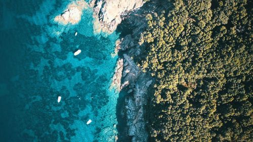 Aerial view of sea and rocks